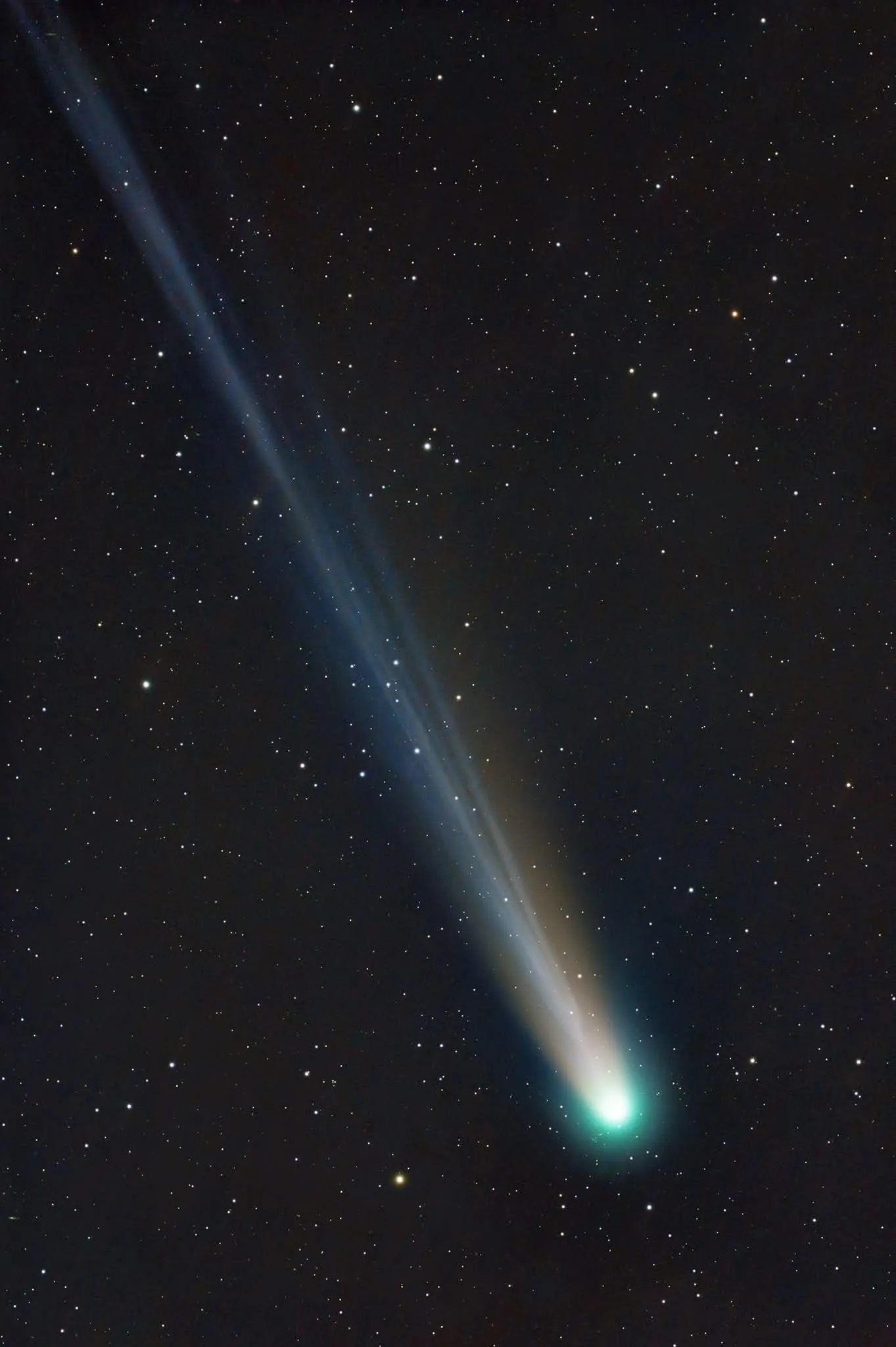 C/2025 A6 (Lemmon)