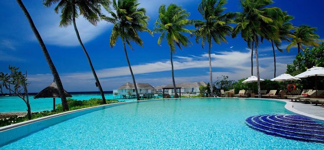 Tropical Swimming Pool Surrounded by Palm Trees