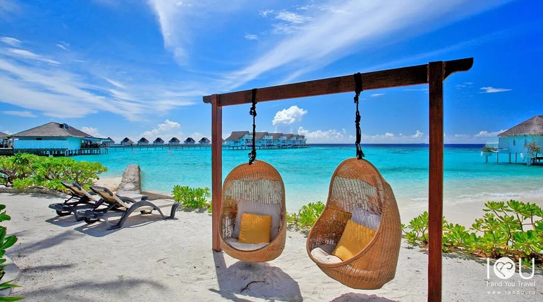Relaxing Beach Swings with Ocean Views