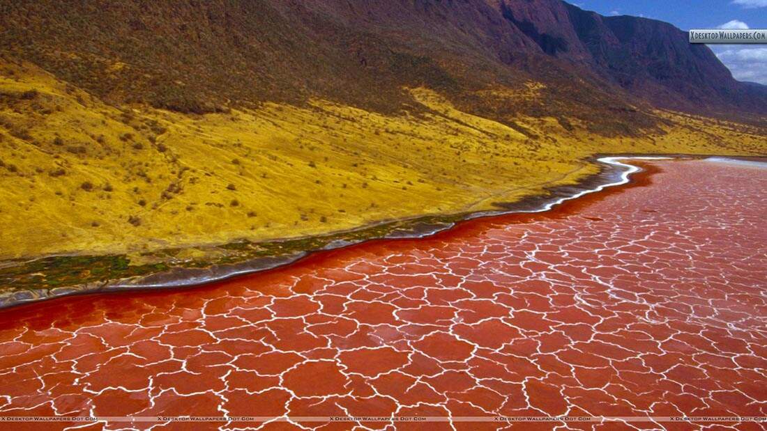 Amazing Red Water of Lake Natron Like Exotic Rug