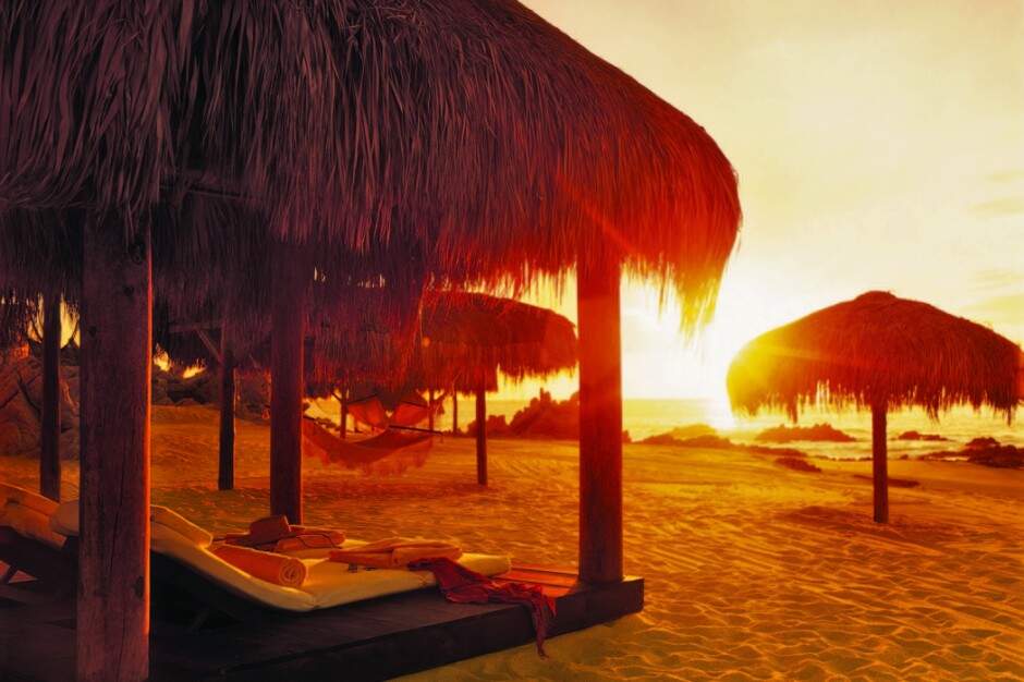 The Resort Has Exotic Beach with Lots of Palm Trees