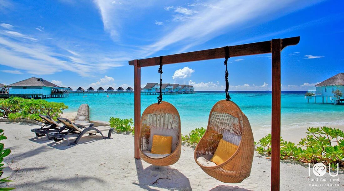 Relaxing Beach Swings with Ocean Views